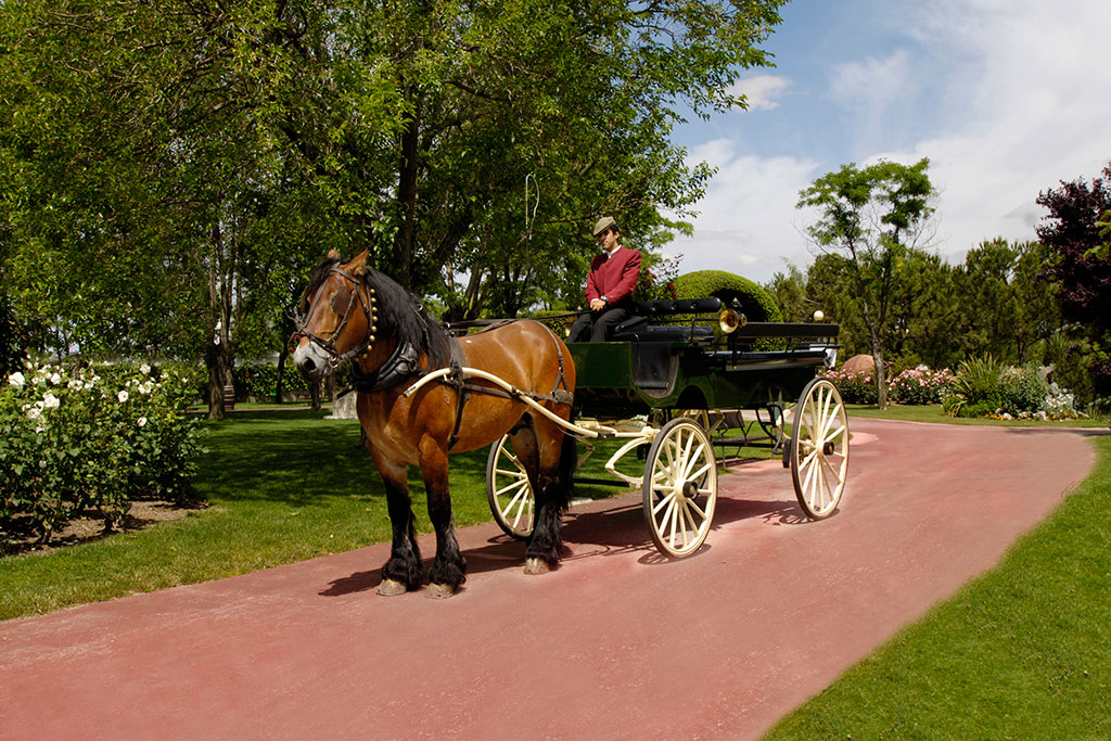 coche de caballos para bodas